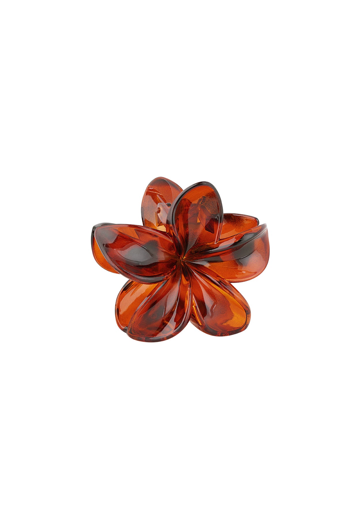 Pince à cheveux à motif de fleurs hawaïennes - Marron